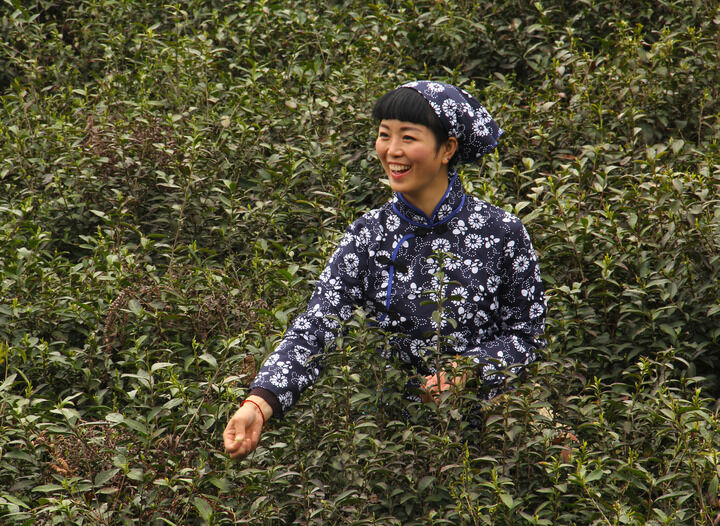 183间房主播跳舞 评分榜